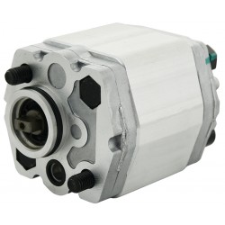 Lifting pump for XWS, WS...