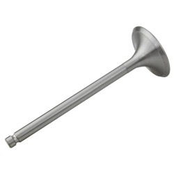 Exhaust valve A498BT1