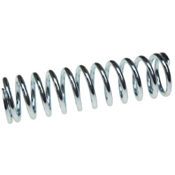Pump piston spring F203