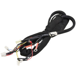 Main cable harness with...