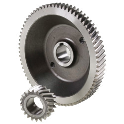 Drive gear with shaft...