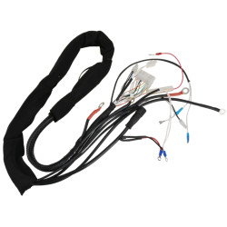 Electric harness, frame...
