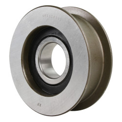 Chain roller 588832,...