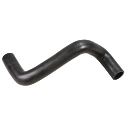 Radiator Hose Bottom - BIBO