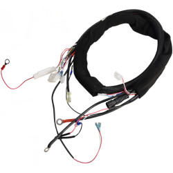 Control panel wiring...