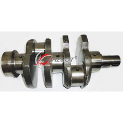 Crankshaft 42031050/T C-330