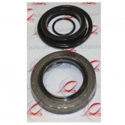 Lift Cylinder Seals...