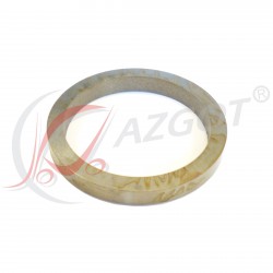 Suction Valve Seat 50106300