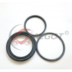 Lift Cylinder Gasket DV1661...