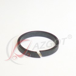 Guide Ring ZF0501312607