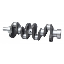 Crankshaft H25...