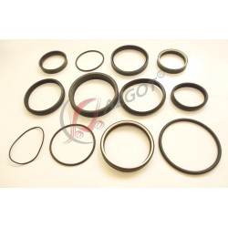 Lift Cylinder Gasket DV1661